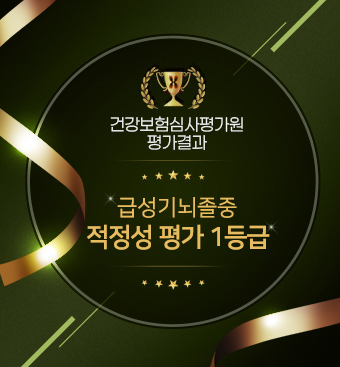 건강보험심사평가원 평가결과 급성기뇌졸중  적정성 평가 1등급