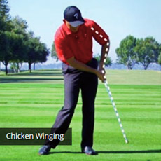Chicken Winging