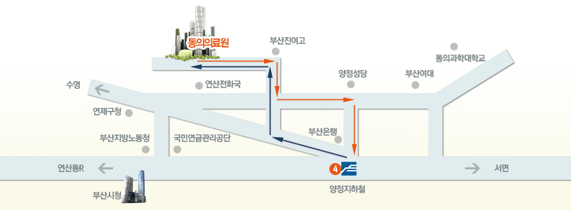 무료순환버스 운행구간