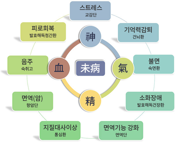 스트레스 교감단 / 기억력감퇴 건뇌환 / 불면 숙면환 / 소화장애 발효해독건장환 / 면역기능 강화 면역단 / 지질대사이상 통심환 / 면역(암) 항암단 / 음주 숙취고 / 피로회복 발효해독청간환
